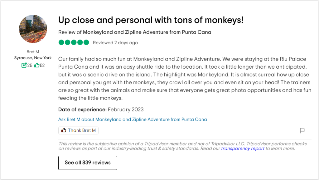 Read more about the article Up close and personal with tons of monkeys!